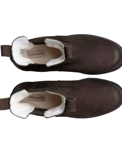 chelseat Klas Dark Brown*Shepherd of Sweden Best