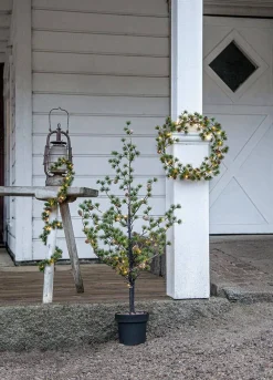 Discount Star Trading köynnös Larix 140 cm