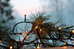 valosarja Golden Warm White 40 LED musta 2,8m*Star Trading Hot