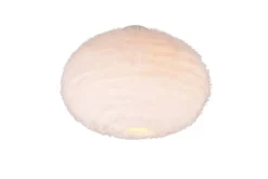 kattovalaisin Furry 2xE27 hiekanvalkoinen*Trio Lighting