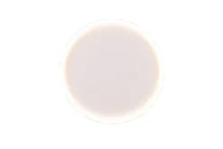 Trio Lighting LED kattovalaisin Rotonda pyöreä mattavalkoine