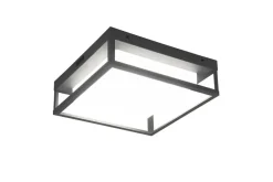 Hot Trio Lighting LED kattovalaisin Witham antrasiitti