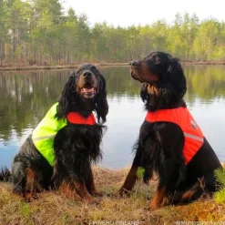 Finnero UKKO Signal Vest Metsästysliivi, punainen/keltainen, S