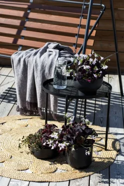 pihakeinu Suvisaari 3-h, cappuccino*Varax Discount