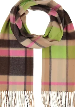 ruutukaulaliina 801022*V.Fraas Hot