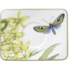 Amazonia Espressokupin alunen 14x11cm*Villeroy&Boch Hot