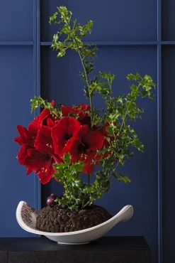 Amazonia Kulho 47x38cm*Villeroy&Boch Clearance