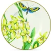 Clearance Villeroy&Boch Amazonia Lautanen 16cm