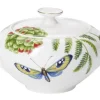 Hot Villeroy&Boch Amazonia Sokerikko 0,35l