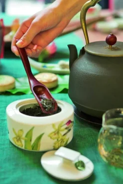 Amazonia Sokerikko 0,33l*Villeroy&Boch