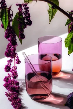 Best Villeroy&Boch Like Juomalasisetti 8x12 cm 0,39l Grape 2-os.