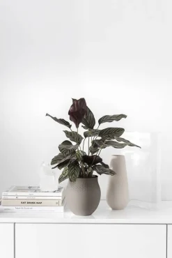 Manufacture Collier vaasi 16,5x16,5x18 cm 2,64 L taupe perle*Villeroy&Boch Hot