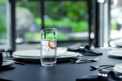 NewMoon Crystal juomalasisetti 0,37 l 4-os.*Villeroy&Boch Best