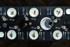 NewMoon Cutlery ruokalusikka 21,8 cm*Villeroy&Boch Hot