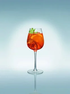 Rose Garden punaviinilasisetti 4 kpl 230 mm 0,2l*Villeroy&Boch Outlet