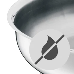 paistinpannu Profi 20 cm*WMF Discount