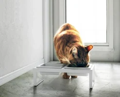 Clearance Yamazaki lemmikinruokakupit 2-os. valkoinen