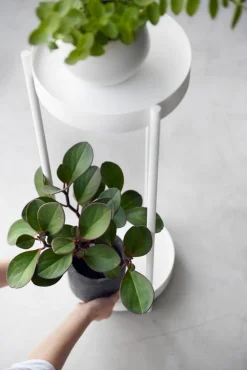 sivupöytä Tower pyörillä valkoinen*Yamazaki Outlet